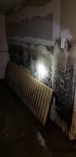 Flooded Basement in Chicago: Water Damage Restoration & Mold Remediation Contractor